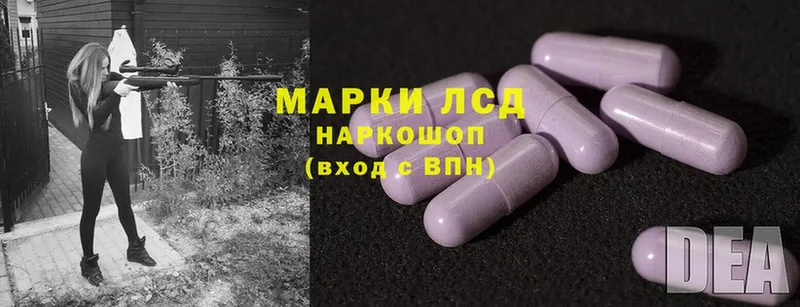 ЛСД экстази ecstasy  Олонец 